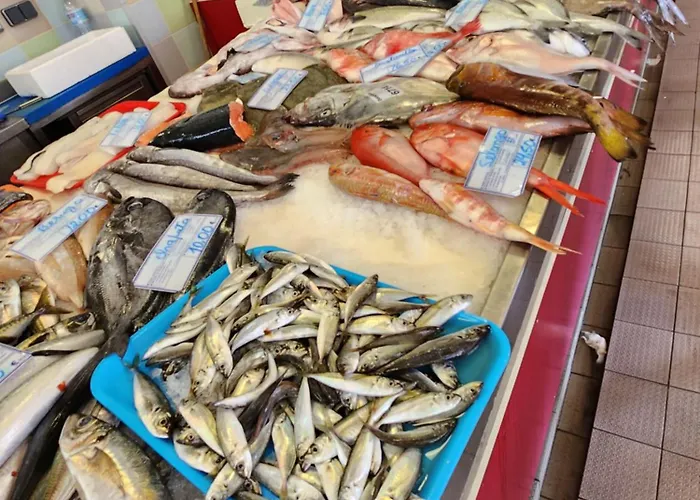 Meco And Pool * Sesimbra