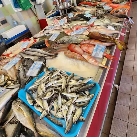 Meco And Pool * Sesimbra